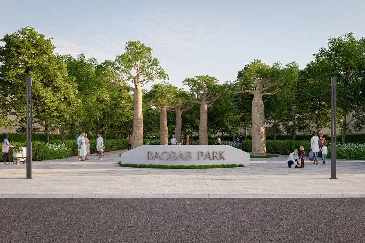 Baobab Forest